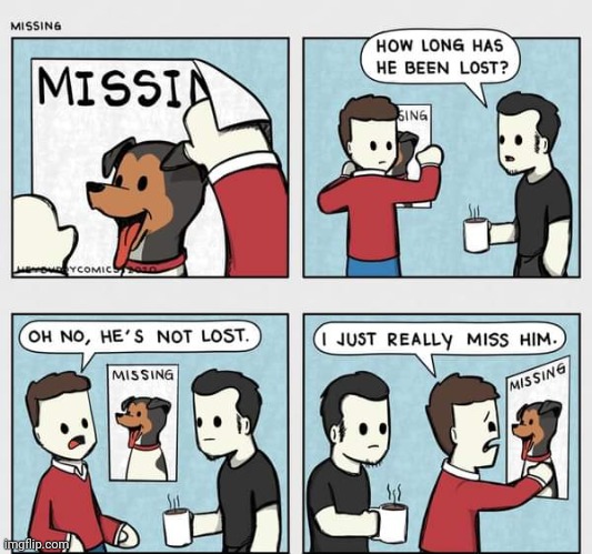 Missing dog | image tagged in dogs,dog,missing,comics,comics/cartoons,comic | made w/ Imgflip meme maker