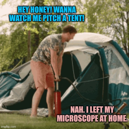 Vote big tent partee | HEY HONEY! WANNA WATCH ME PITCH A TENT! NAH. I LEFT MY MICROSCOPE AT HOME. | image tagged in or dont,i cant make you,vote for me,big,tent,party | made w/ Imgflip meme maker