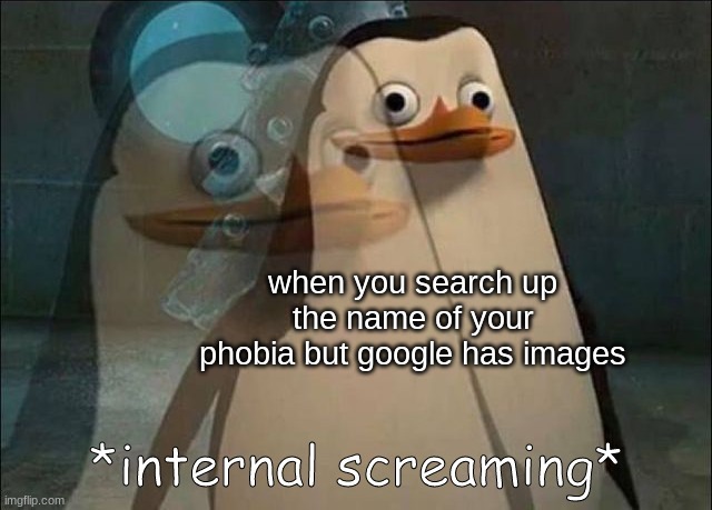WhYYYYYYYYYyyyyyyyy | when you search up the name of your phobia but google has images | image tagged in private internal screaming,you have been eternally cursed for reading the tags | made w/ Imgflip meme maker