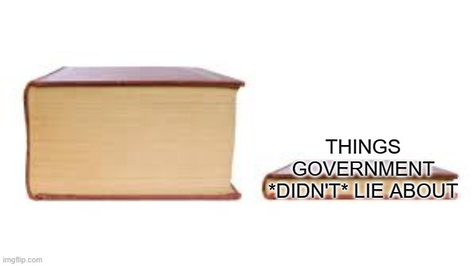 is that what the gov't in a democracy is supposed to do - lie to citizens? | THINGS GOVERNMENT *DIDN'T* LIE ABOUT | image tagged in big book small book | made w/ Imgflip meme maker