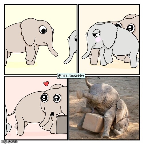 image tagged in elephant,block | made w/ Imgflip meme maker