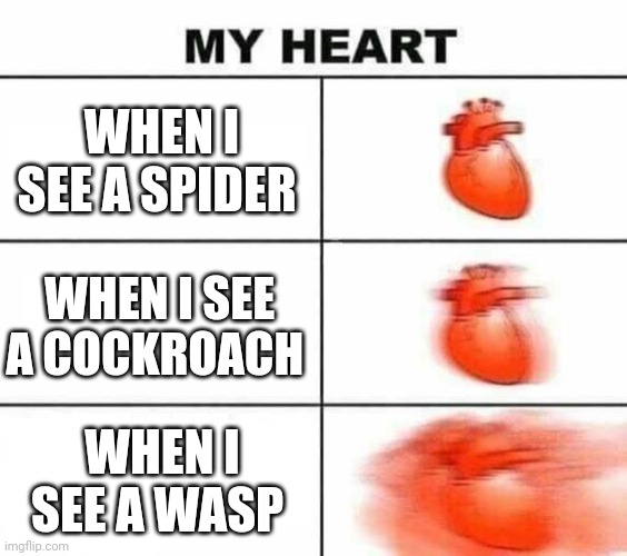 Creepy insects that give me heart issues | WHEN I SEE A SPIDER; WHEN I SEE A COCKROACH; WHEN I SEE A WASP | image tagged in my heart blank | made w/ Imgflip meme maker