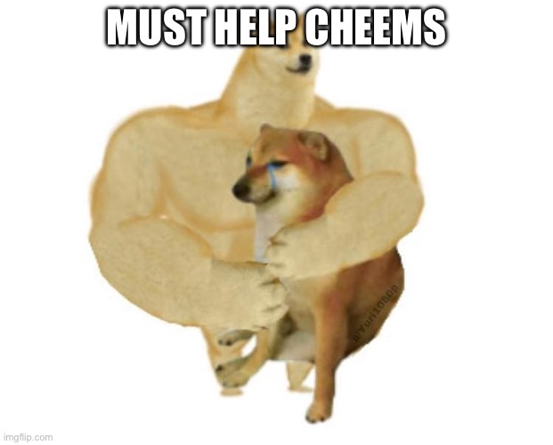 big brother doge hugging little brother cheems | MUST HELP CHEEMS | image tagged in big brother doge hugging little brother cheems | made w/ Imgflip meme maker