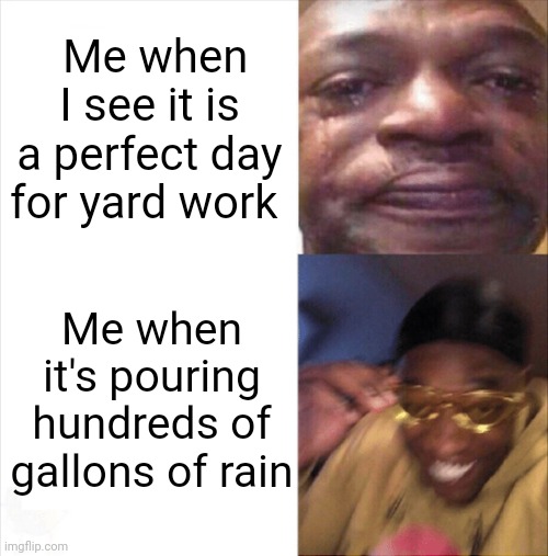 It's raining!!! Which means no yard work | Me when I see it is a perfect day for yard work; Me when it's pouring hundreds of gallons of rain | image tagged in sad happy | made w/ Imgflip meme maker
