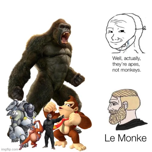 Le Monke ? | image tagged in monke,chad,monkey,memes,funny,random | made w/ Imgflip meme maker