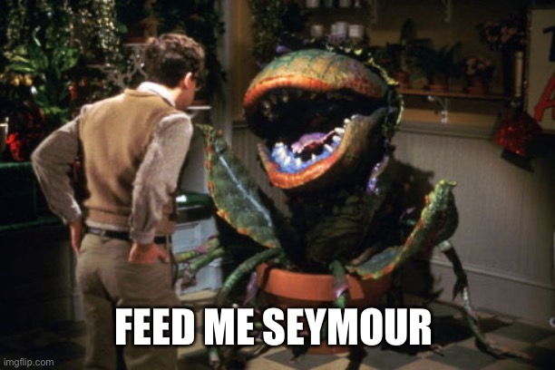 feed me seymour | FEED ME SEYMOUR | image tagged in feed me seymour | made w/ Imgflip meme maker