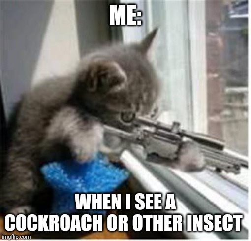 Insects beware | ME:; WHEN I SEE A COCKROACH OR OTHER INSECT | image tagged in cats with guns | made w/ Imgflip meme maker