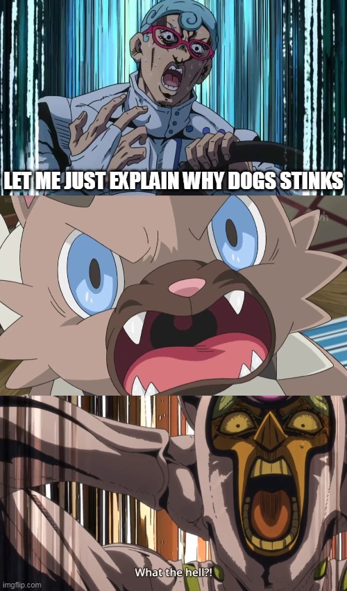 when you rant on dogs | LET ME JUST EXPLAIN WHY DOGS STINKS | image tagged in angry rockruff,rockruff,pokemon,jojo's bizarre adventure,golden wind | made w/ Imgflip meme maker