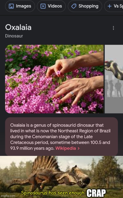 Those are flowers | CRAP | image tagged in flowers,oxalaia | made w/ Imgflip meme maker