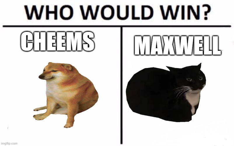 cheems vs maxwell | CHEEMS; MAXWELL | image tagged in memes,who would win | made w/ Imgflip meme maker