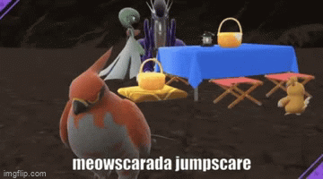 Image tagged in gifs,meowscadarada - Imgflip