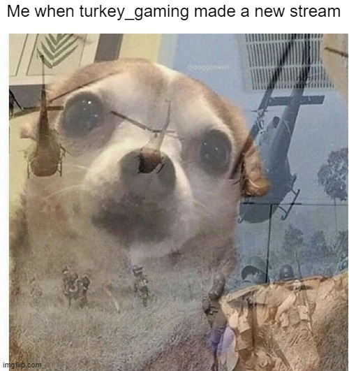 turkey_gaming made another L Stream, Oh no. | Me when turkey_gaming made a new stream | image tagged in ptsd chihuahua,imgflip,stream,memes,funny,ptsd | made w/ Imgflip meme maker