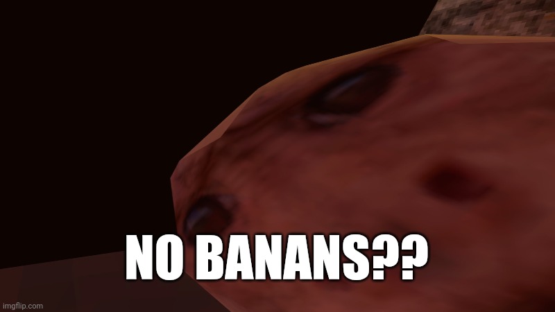 no banans?? | NO BANANS?? | image tagged in memes | made w/ Imgflip meme maker