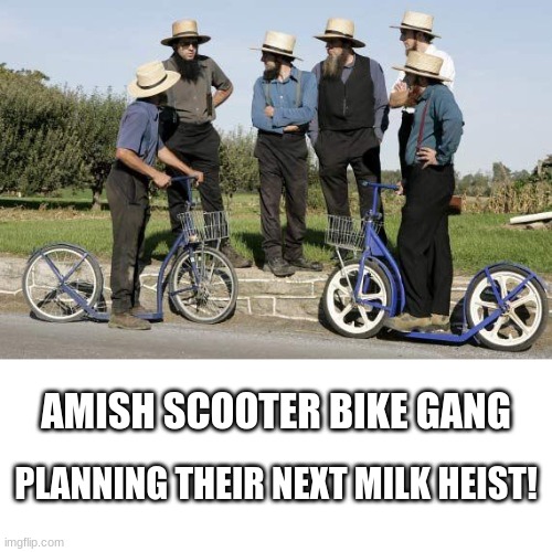 Dangerous gangs | AMISH SCOOTER BIKE GANG; PLANNING THEIR NEXT MILK HEIST! | image tagged in gangsta,milking the cow | made w/ Imgflip meme maker