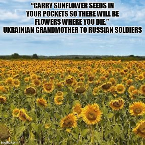 Dead Russian Soldiers | “CARRY SUNFLOWER SEEDS IN YOUR POCKETS SO THERE WILL BE FLOWERS WHERE YOU DIE.”  UKRAINIAN GRANDMOTHER TO RUSSIAN SOLDIERS | image tagged in machenbach sunflower fields | made w/ Imgflip meme maker