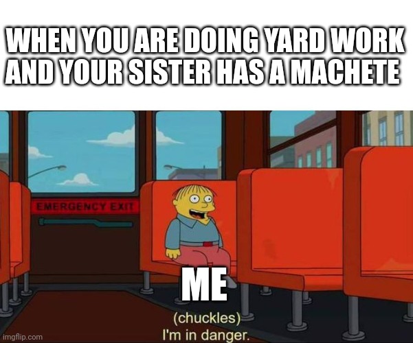 My family did yard work and my teen sister got a machete | WHEN YOU ARE DOING YARD WORK AND YOUR SISTER HAS A MACHETE; ME | image tagged in i'm in danger blank place above | made w/ Imgflip meme maker