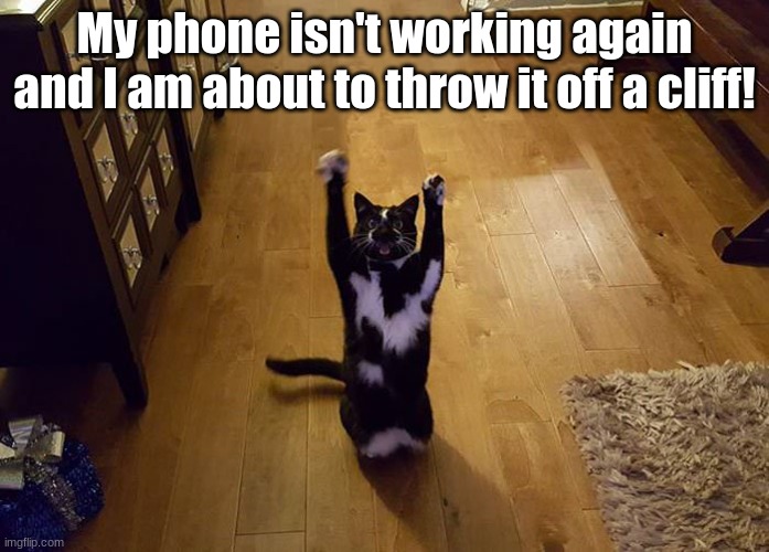 Yipeee cat | My phone isn't working again and I am about to throw it off a cliff! | image tagged in yipeee cat | made w/ Imgflip meme maker