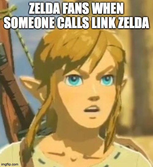 why do people do this | ZELDA FANS WHEN SOMEONE CALLS LINK ZELDA | image tagged in offended link | made w/ Imgflip meme maker