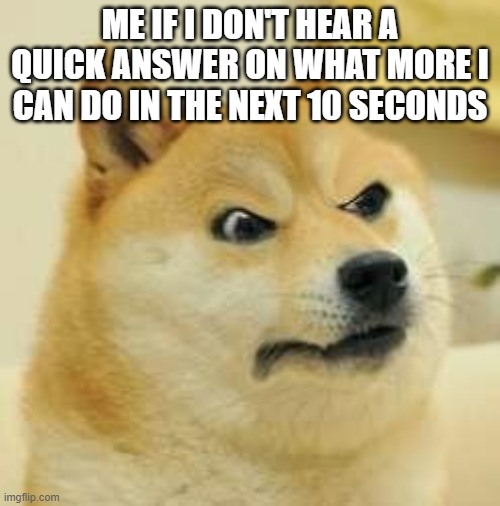 In other words u can either tell me what the hell more i can do OR U R DEFINITELY GONNA GET IT OK I'VE DUN ALL I CAN TO HELP!!!! | ME IF I DON'T HEAR A QUICK ANSWER ON WHAT MORE I CAN DO IN THE NEXT 10 SECONDS | image tagged in angry doge,memes,i have had it with all this waiting,what more can i do,savage memes,tell me | made w/ Imgflip meme maker
