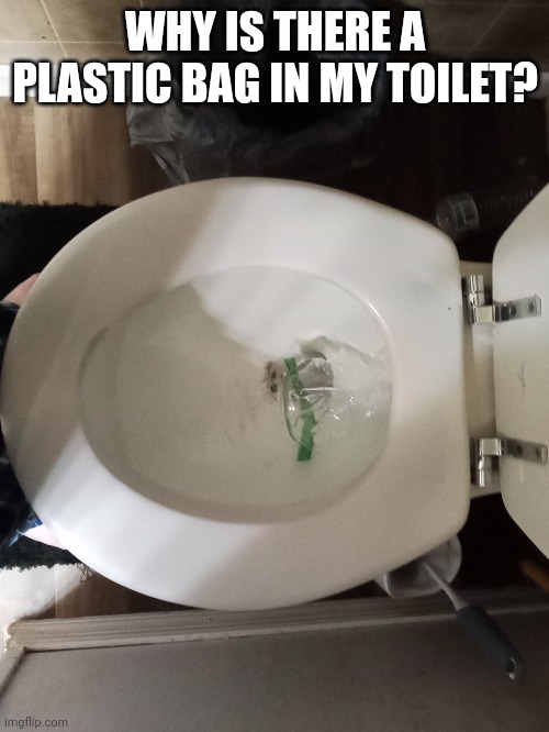 J-just why | WHY IS THERE A PLASTIC BAG IN MY TOILET? | image tagged in toilet | made w/ Imgflip meme maker