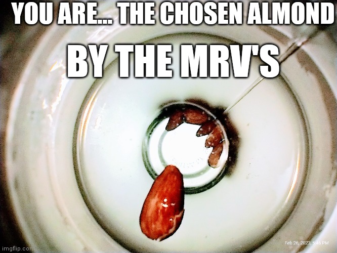 YOU ARE... THE CHOSEN ALMOND; BY THE MRV'S | made w/ Imgflip meme maker