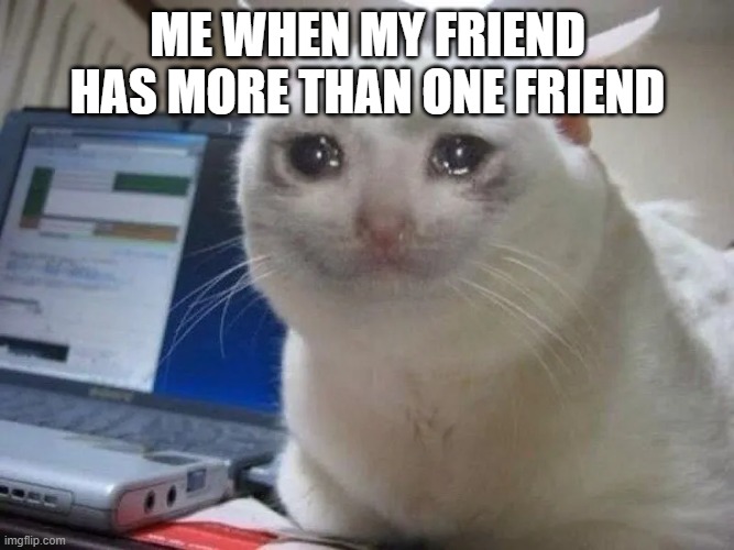 ME WHEN MY FRIEND HAS MORE THAN ONE FRIEND | image tagged in cats | made w/ Imgflip meme maker