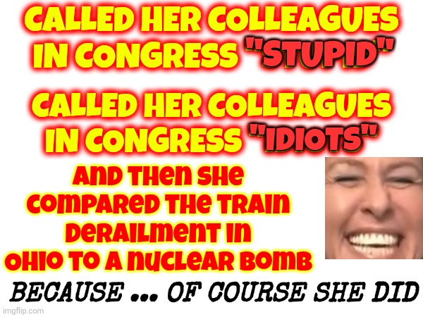 Because ... Of Course | CALLED HER COLLEAGUES IN CONGRESS "STUPID"; And then she compared the train derailment in Ohio to a nuclear bomb; "STUPID"; CALLED HER COLLEAGUES IN CONGRESS "IDIOTS"; "IDIOTS"; BECAUSE ... OF COURSE SHE DID | image tagged in special kind of stupid,stupid,idiot,marjorie taylor greene,memes,ignorance in abundance | made w/ Imgflip meme maker