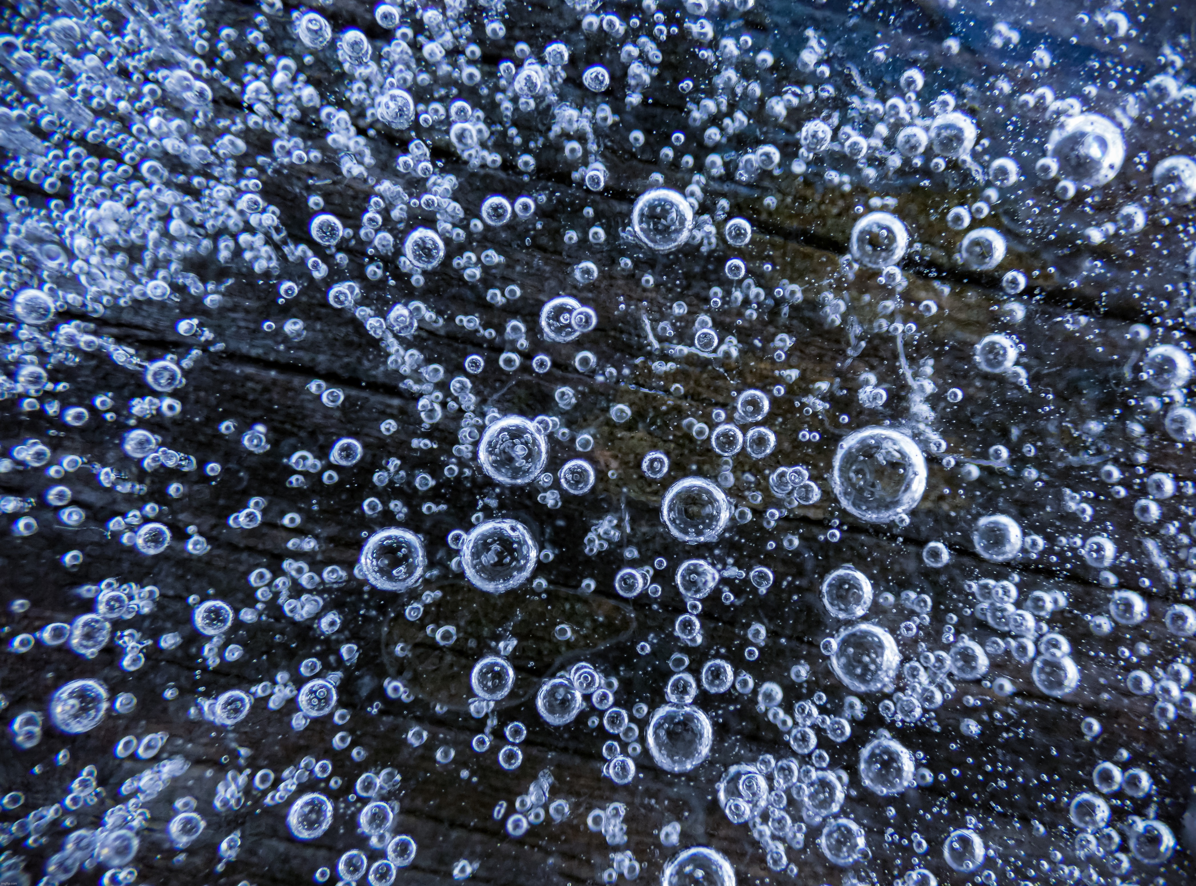 Some cool ice bubbles on a slice of ice for your enjoyment (click image to enlarge) | image tagged in share your own photos | made w/ Imgflip meme maker