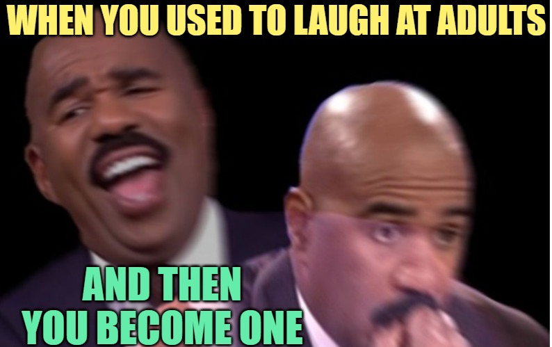 When You Become an Adult | WHEN YOU USED TO LAUGH AT ADULTS; AND THEN YOU BECOME ONE | image tagged in conflicted steve harvey,adult swim,adult humor,funny memes,so true,lol | made w/ Imgflip meme maker