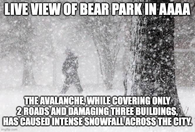 Snowstorm | LIVE VIEW OF BEAR PARK IN AAAA; THE AVALANCHE, WHILE COVERING ONLY 2 ROADS AND DAMAGING THREE BUILDINGS, HAS CAUSED INTENSE SNOWFALL ACROSS THE CITY. | image tagged in snowstorm | made w/ Imgflip meme maker