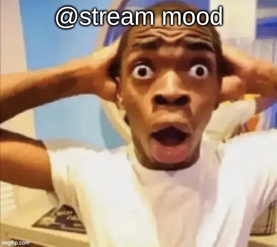 in shock | @stream mood | image tagged in in shock | made w/ Imgflip meme maker