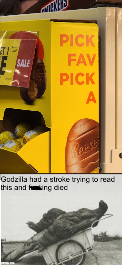 I dont even know what they wanted to say. | image tagged in godzilla,you had one job,design fails,failure,memes,godzilla had a stroke trying to read this and fricking died | made w/ Imgflip meme maker