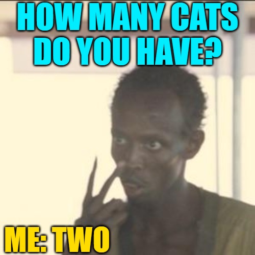 How many cats do you have? | HOW MANY CATS DO YOU HAVE? ME: TWO | image tagged in memes,look at me,cats,petlovers,humor,lol | made w/ Imgflip meme maker