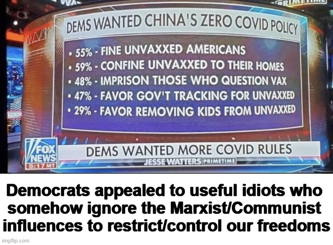 The disconnect is they want our freedoms but allow criminals & illegals to do as they please. | Democrats appealed to useful idiots who 
somehow ignore the Marxist/Communist 
influences to restrict/control our freedoms | image tagged in politics,control,dems,useful idiots,freedom,covidiots | made w/ Imgflip meme maker