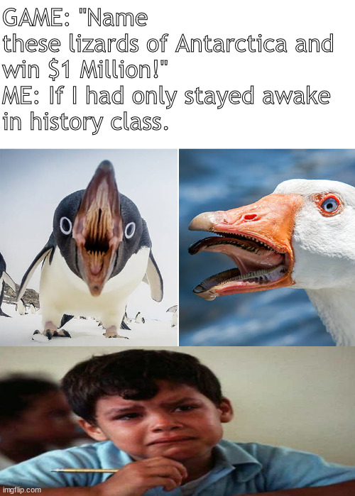He slept and lost | GAME: "Name these lizards of Antarctica and 
win $1 Million!" 
ME: If I had only stayed awake
in history class. | image tagged in memes,fun | made w/ Imgflip meme maker