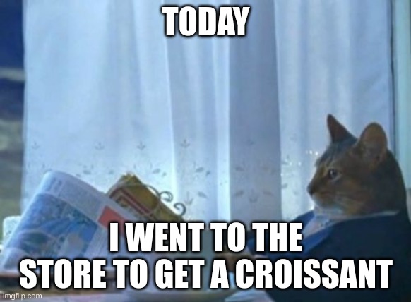 I Should Buy A Boat Cat | TODAY; I WENT TO THE STORE TO GET A CROISSANT | image tagged in memes,i should buy a boat cat | made w/ Imgflip meme maker