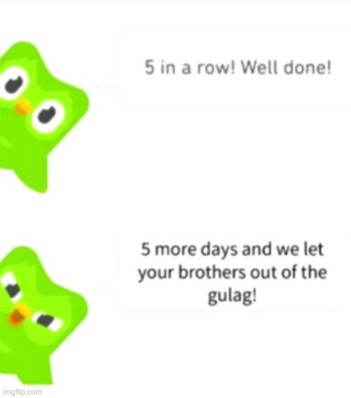 i stole this from youtube | image tagged in duolingo,duolingo 5 in a row | made w/ Imgflip meme maker