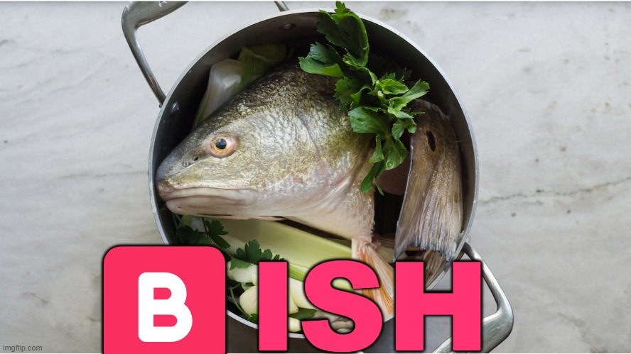 🅱️ISH | made w/ Imgflip meme maker