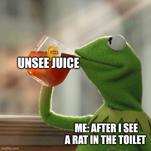 Rat in the toilet. Eeeeewwww | UNSEE JUICE; ME: AFTER I SEE A RAT IN THE TOILET | image tagged in memes,but that's none of my business,kermit the frog | made w/ Imgflip meme maker
