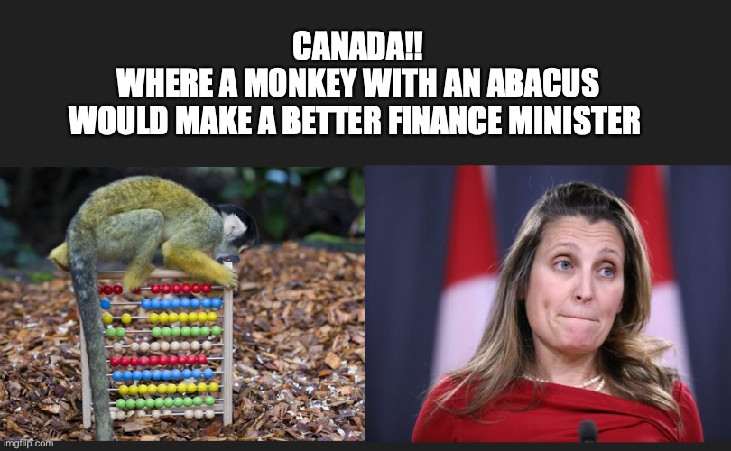 Monkey with an abacus | CANADA!!
WHERE A MONKEY WITH AN ABACUS
WOULD MAKE A BETTER FINANCE MINISTER | image tagged in monkey,abacus,chrystia freeland,finance minister | made w/ Imgflip meme maker