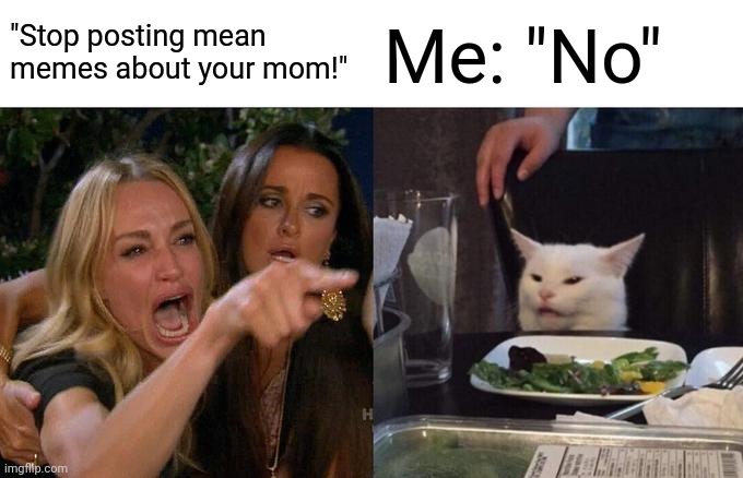 No thanks | "Stop posting mean memes about your mom!"; Me: "No" | image tagged in memes,woman yelling at cat | made w/ Imgflip meme maker