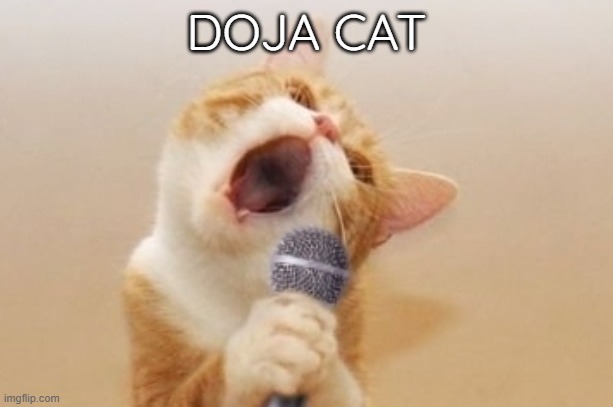 DOJA CAT | image tagged in funny cats | made w/ Imgflip meme maker