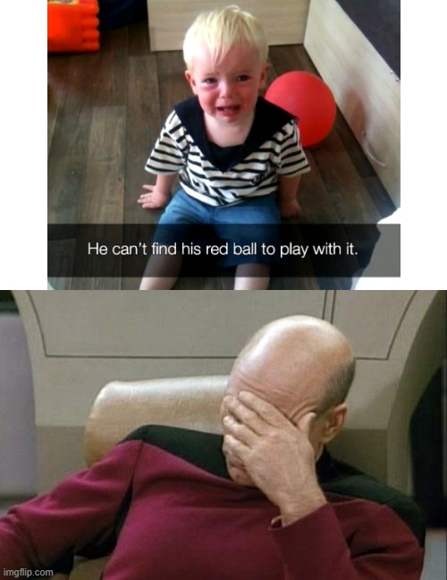 Captain Picard Facepalm | image tagged in memes,captain picard facepalm,ball,bruh | made w/ Imgflip meme maker