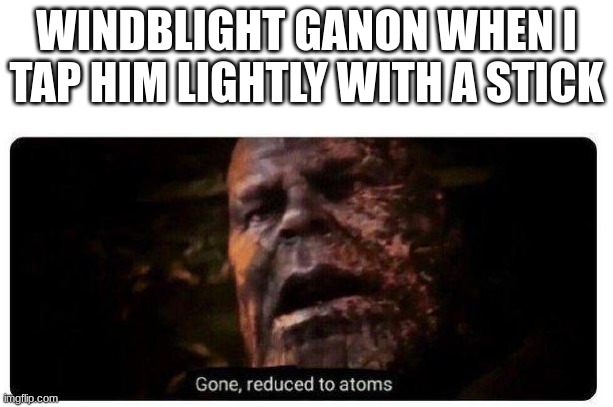 gone, reduced to atoms | WINDBLIGHT GANON WHEN I TAP HIM LIGHTLY WITH A STICK | image tagged in gone reduced to atoms | made w/ Imgflip meme maker