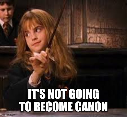 hermione | IT'S NOT GOING TO BECOME CANON | image tagged in hermione | made w/ Imgflip meme maker