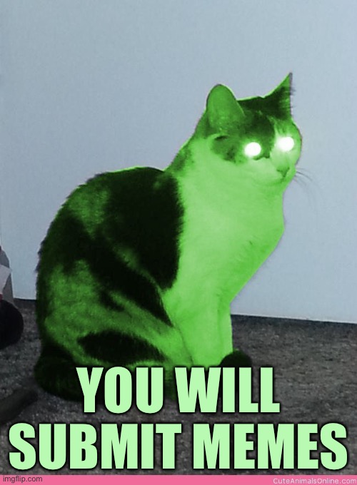 Hypno Raycat | YOU WILL SUBMIT MEMES | image tagged in hypno raycat | made w/ Imgflip meme maker