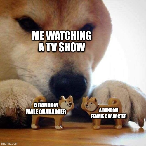 dog now kiss  | ME WATCHING A TV SHOW; A RANDOM MALE CHARACTER; A RANDOM FEMALE CHARACTER | image tagged in dog now kiss | made w/ Imgflip meme maker
