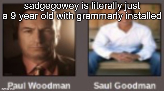 paul vs saul | sadgegowey is literally just a 9 year old with grammarly installed | image tagged in paul vs saul | made w/ Imgflip meme maker