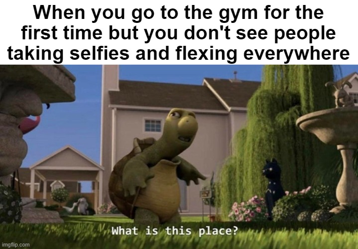 what is this place? | When you go to the gym for the first time but you don't see people taking selfies and flexing everywhere | image tagged in what is this place | made w/ Imgflip meme maker