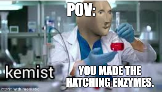 When you make the Enzymes | POV:; YOU MADE THE HATCHING ENZYMES. | image tagged in kemist,subnautica | made w/ Imgflip meme maker